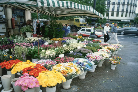 Flower Shop
