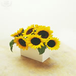 Yellow Sunflowers in a box