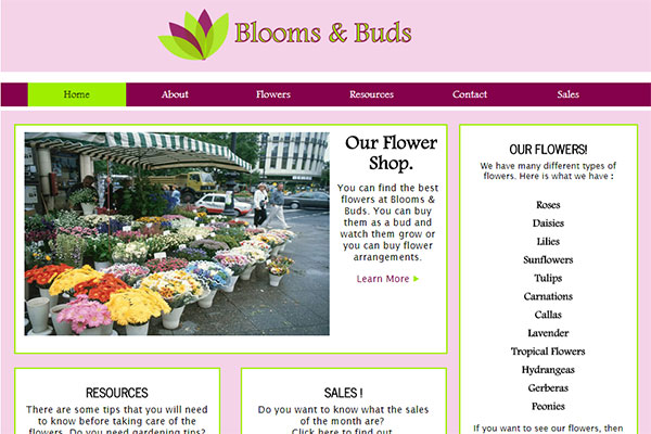 Blooms & Buds Website
